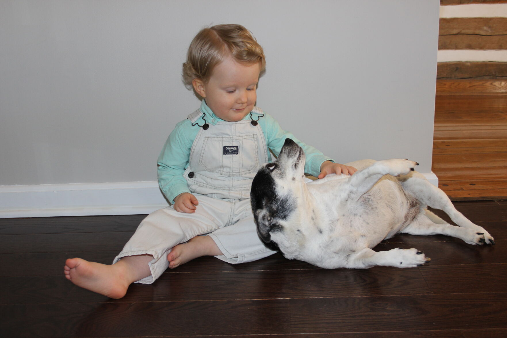 Best Buddies